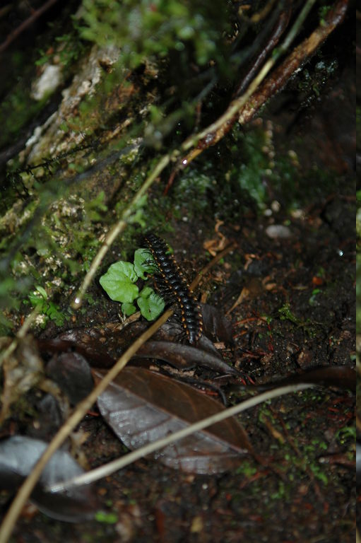 dsc_1907.jpg