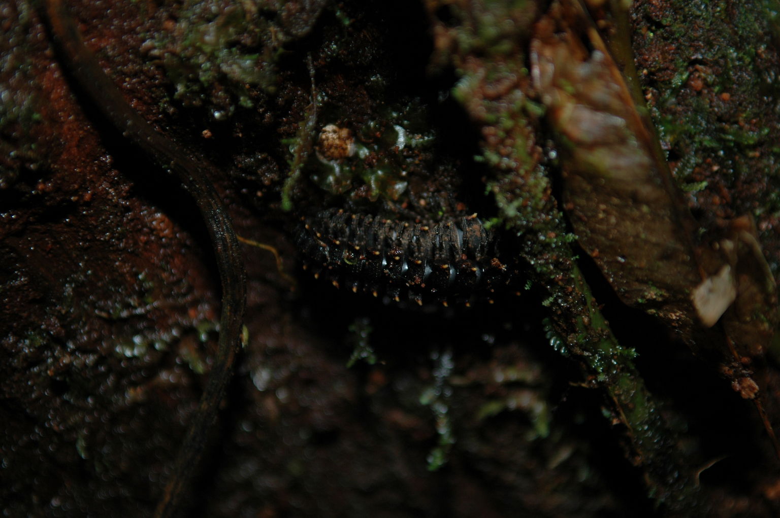 dsc_2170.jpg