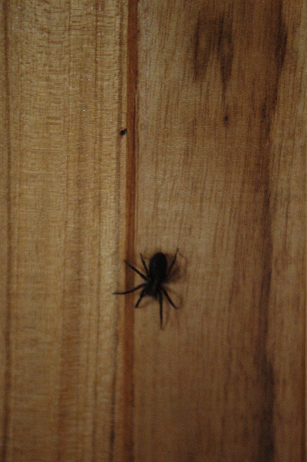 dsc_2201.jpg