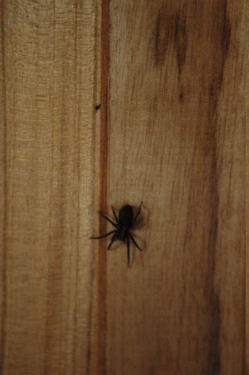 dsc_2201.jpg