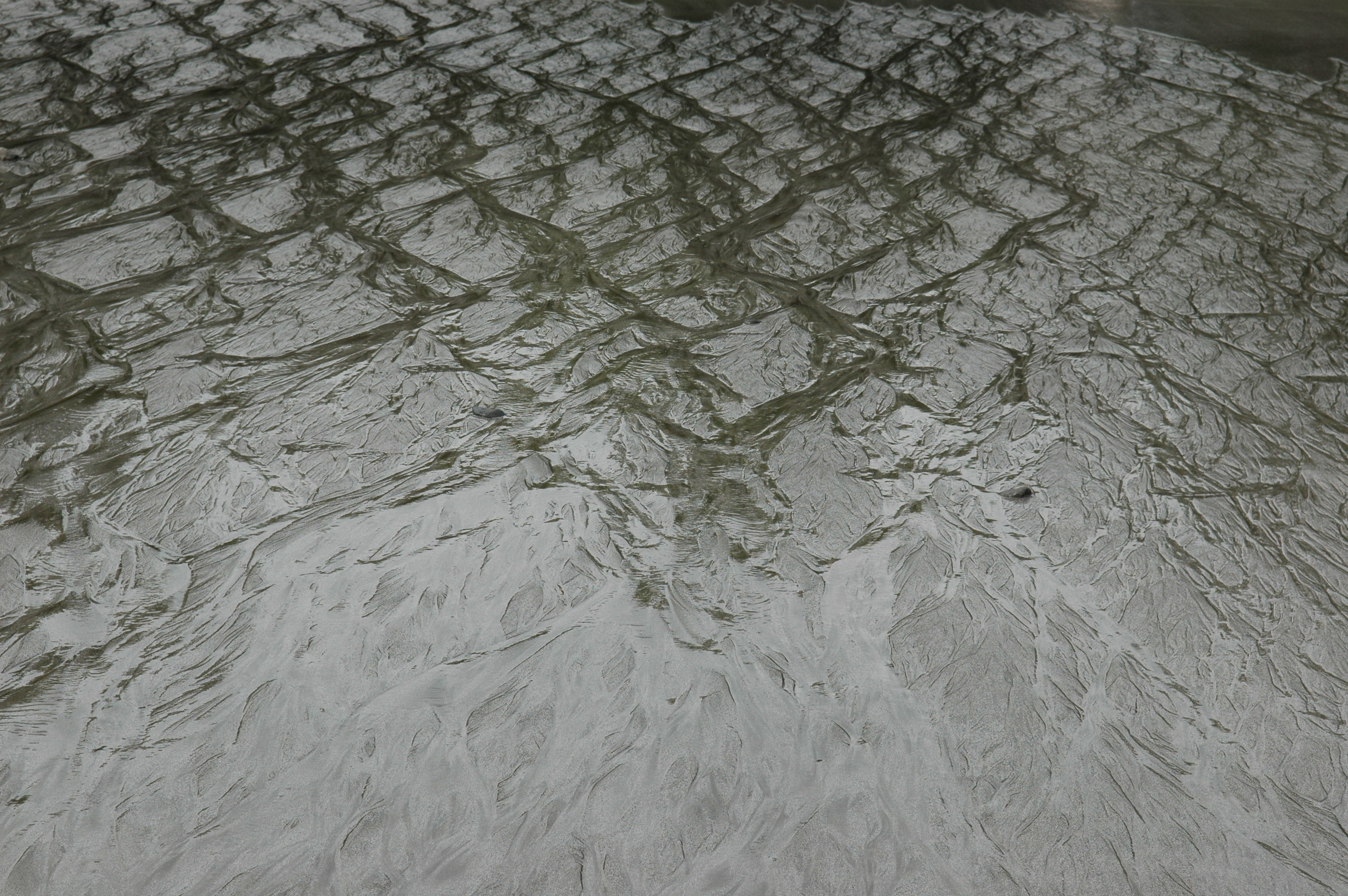 dsc_2322.jpg