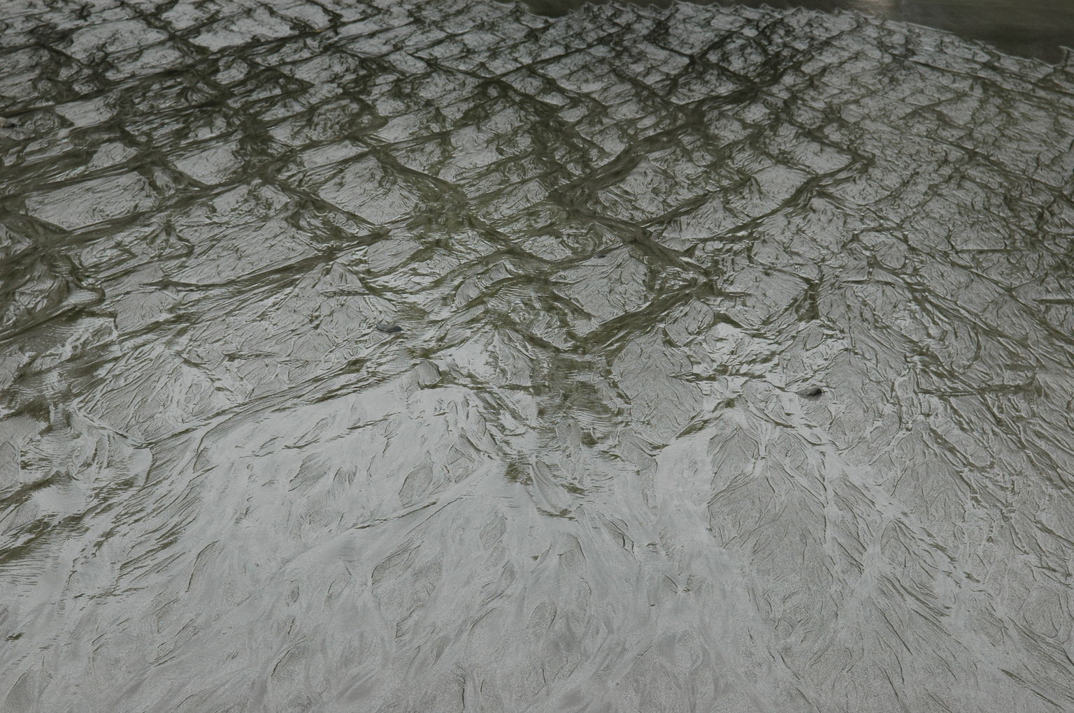 dsc_2322.jpg