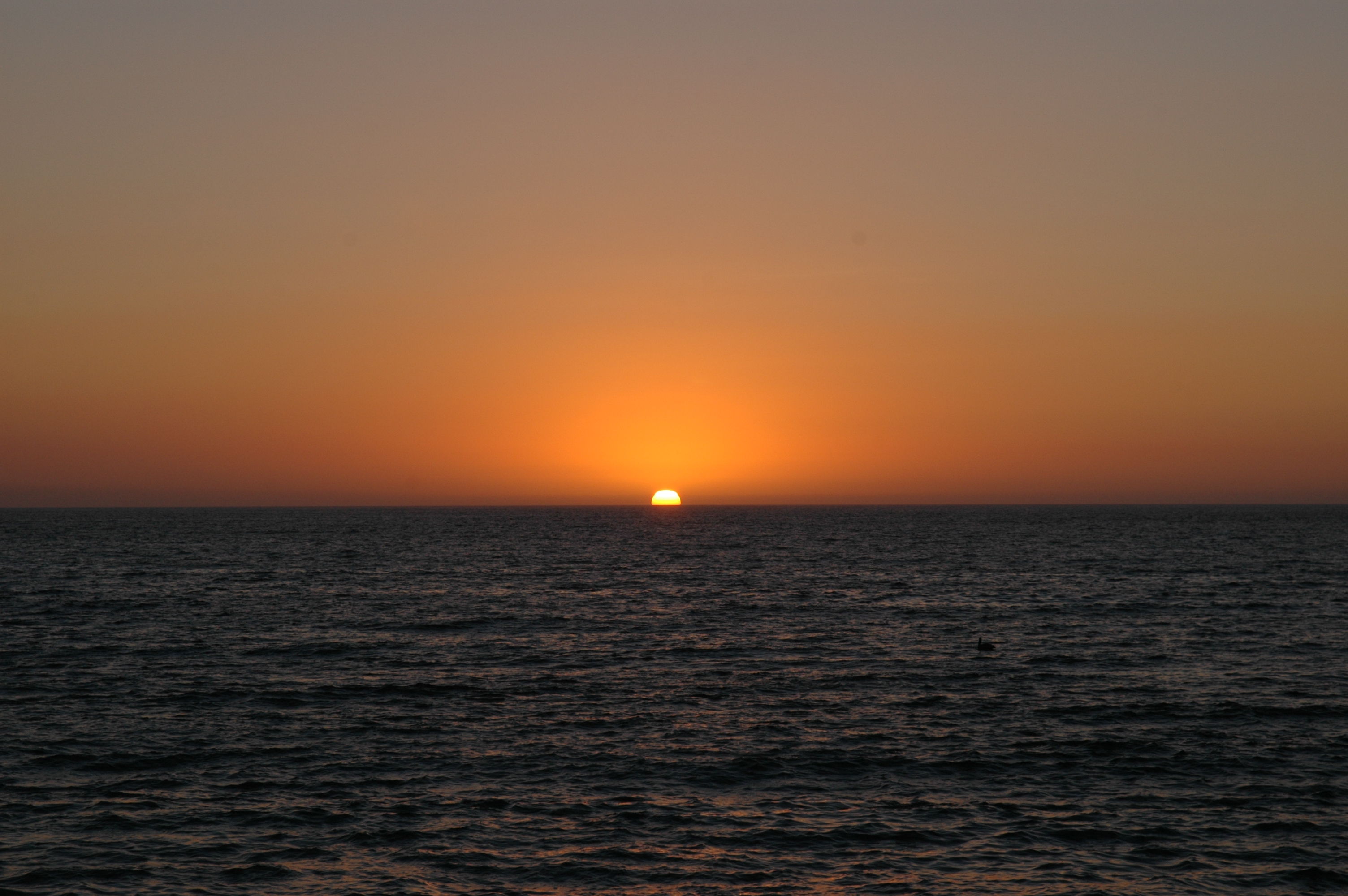 dsc_4068.jpg