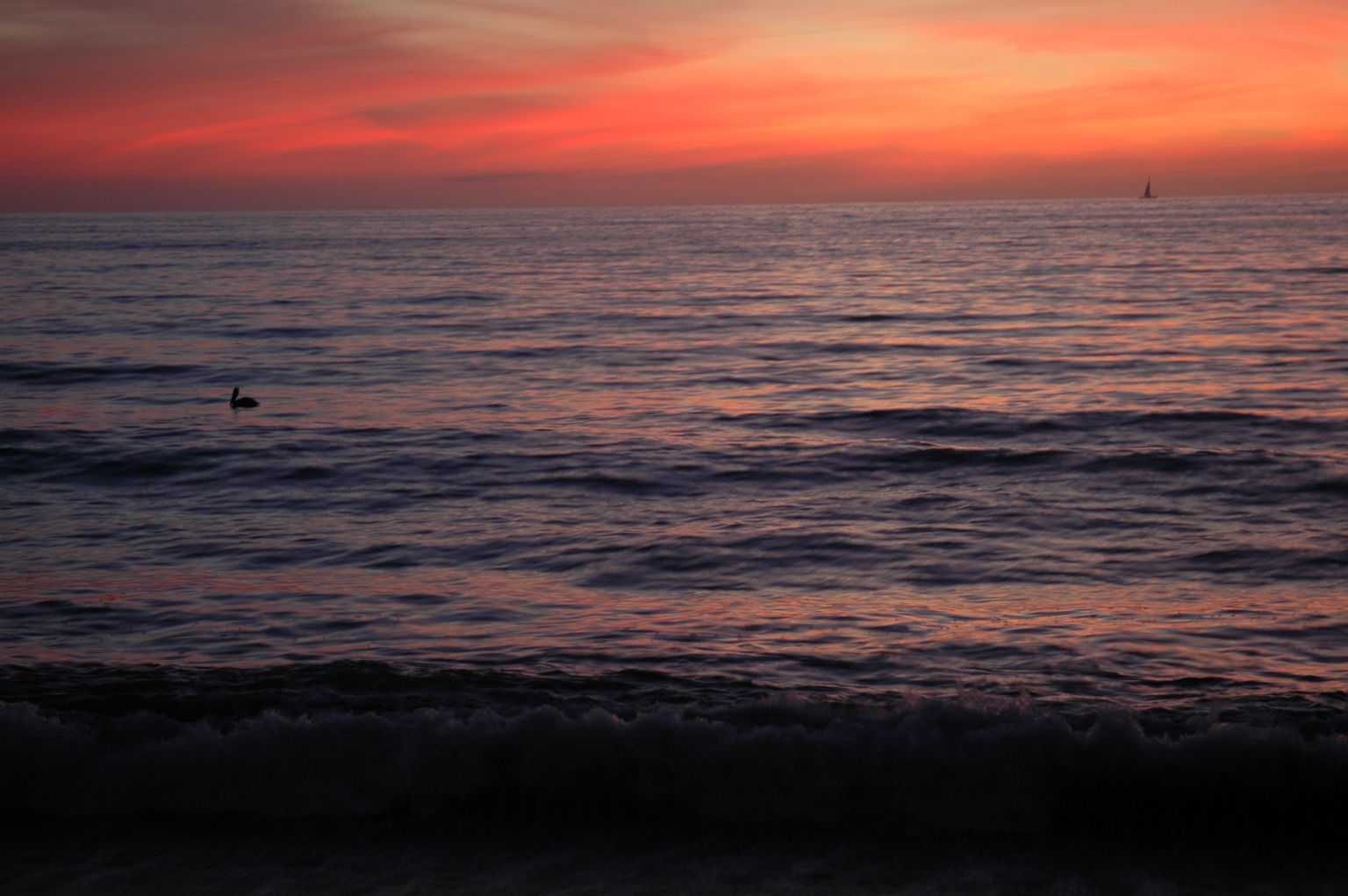 dsc_4143.jpg