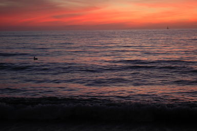 dsc_4143.jpg