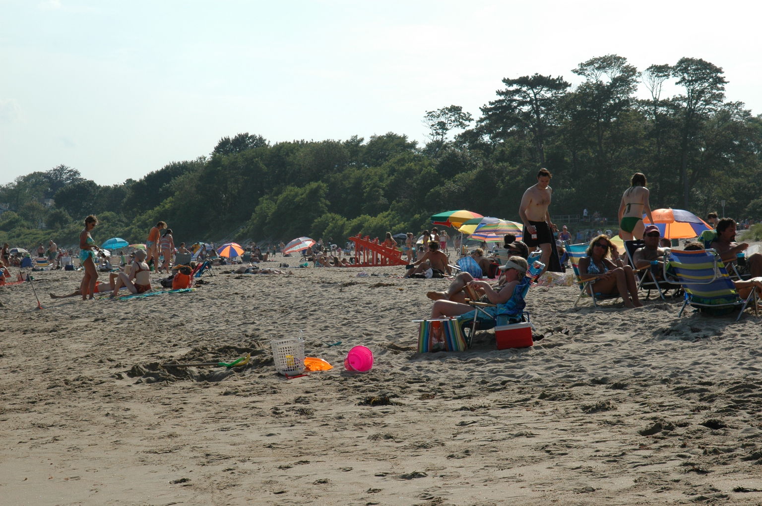 dsc_5513.jpg